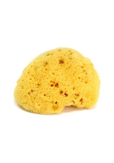 OkBaby Splash Bebek Duşu / A. Gri & İnce Dokulu Doğal Banyo Süngeri No.14