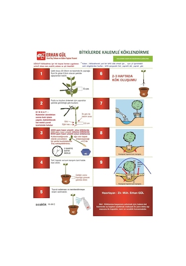 Çelik Köklendirme Hormonu. 8000 Ppm Dal Köklendirme Hormonu 250ML