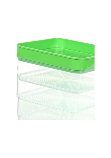 Homyl Tohum Filizleme Kitleri Brokoli Yonca Tohumları Buğday