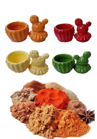 4 Adet Kaktüs Model Baharatlık - Sunumluk Karışık