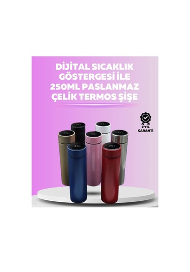 Bfs Led Sıcaklık Ölçerli 250 Ml Yalıtımlı Termos Şişe Çok Renkli