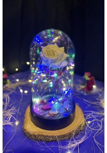 Anneler Gününe Özel Beyaz Gül Rgb Fanus Lamba Usb'li Yapay Çiçek Dekoratif Aydınlatma Hediyelik