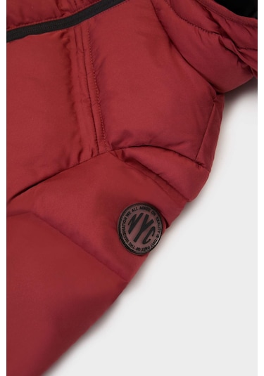 Defacto Erkek Bebek Kapüşonlu Fermuarlı Mont C6963a525aubr181 Bordo