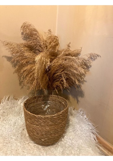 2li Hasır Silindir Saksılık Orta Boylar