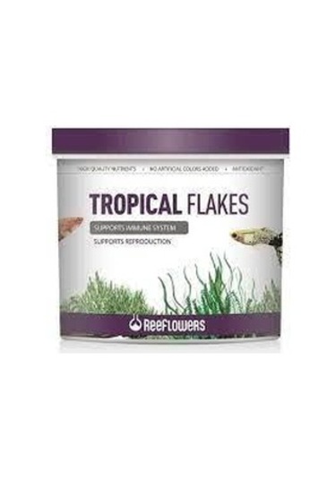 Reeflowers Tropical Flakes Pul Yem 100 Gr