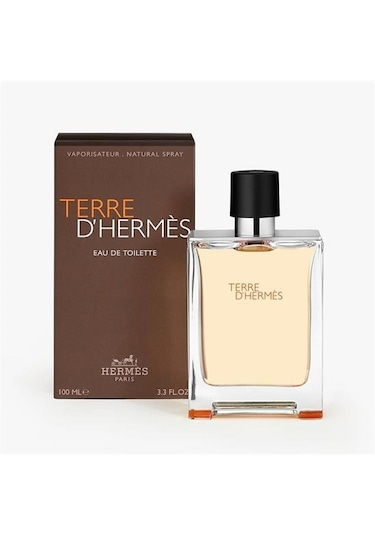 Hermes Terre D'Hermes Erkek Parfüm EDT 100 ML