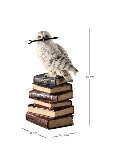 Kitap Yığını Üzerindeki Sihirli Değnekli Hedwig Kar Baykuşu Biblosu / Küçük Boy