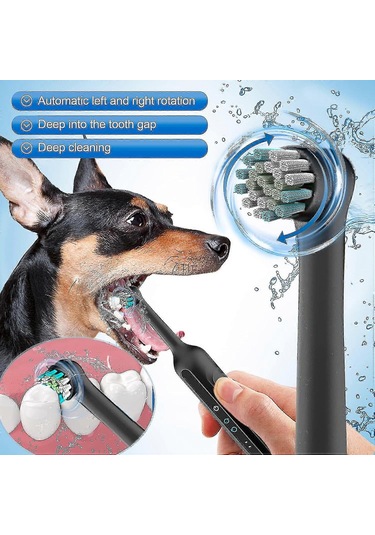 Köpek Diş Fırçalama Seti,köpekler İçin Sonic Elektrikli Diş Fırçası,plak Ve Tartar Temizleyici,3 Fırça Başlığı Siyah G