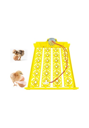 Pazly Yumurta Yumurta Tepsisi Tavuk Suntek Otomatik Çevirme 24 Cx