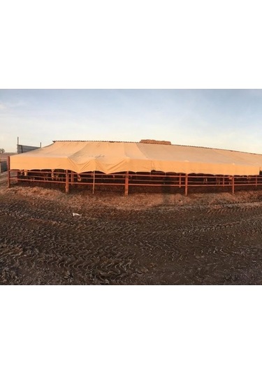 Morilu Bahçe Brandası - Yüzde 95Lik - Krem - Şeritli Halkalı