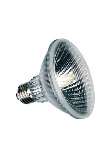 75 Watt Halojen Lamba Par30
