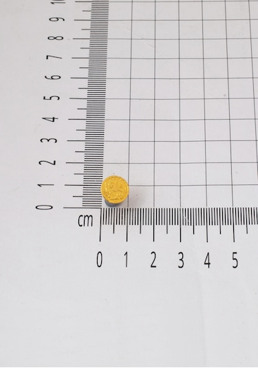 Bilezikci 22 Ayar Altın Tuğralı Pimli Küpe Sarı Altın