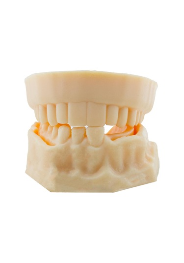 Barışhan Medikal Silikon Çene Diş Dikiş Modeli Ortodontik Alt Üst Çene Periodontal Sütür Eğitim Modeli-6