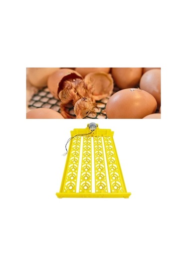 Pazly Yumurta Yumurta Turner Tavuk Suntek Otomatik Makinesi Kuluçka Fr