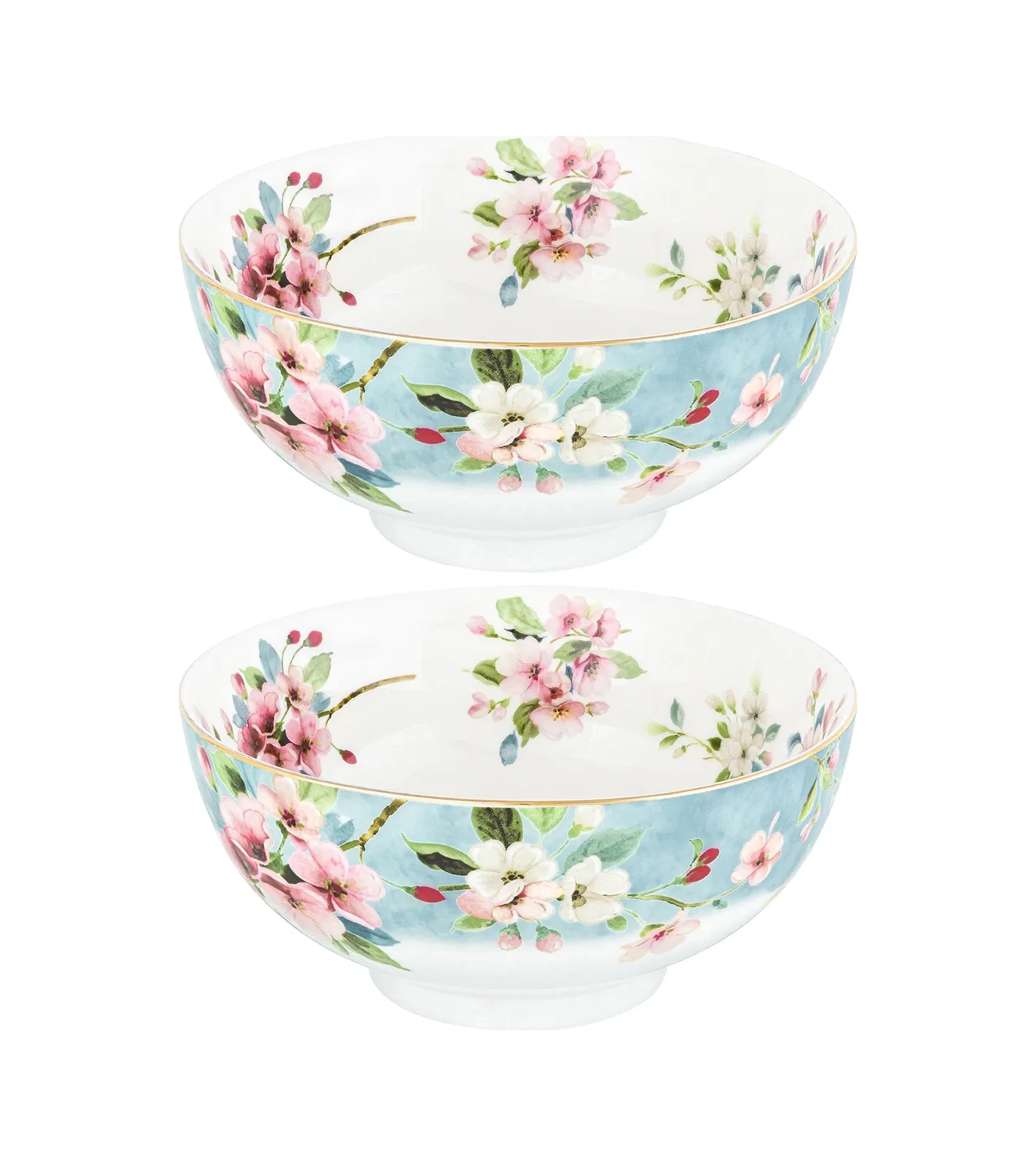 Elan Gallery Elma Ağacı Kökü Salatası 700 Ml 2'li 20824921 Açık Mavi