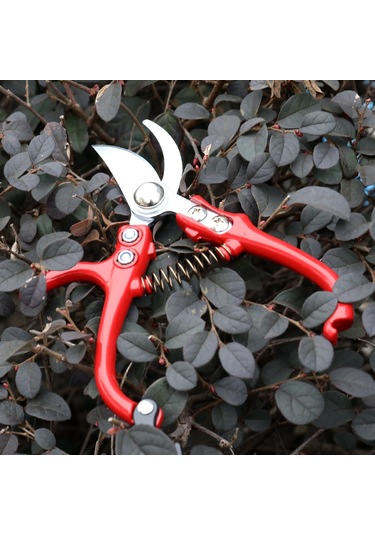 Yaozixa Bahçe Bakımı İçin El Kesici, Yüksek Hassasiyetli Dal Kırıcı, Eğik Ağız, El Aracı, Çelik Malzeme, Uzun Kullanımdayken Yorulmaz