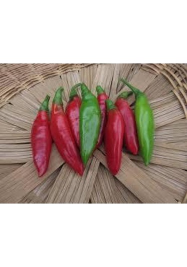 Eko Paket Balık Biberi Tohumu Acı Balık Biber Tohumu 150 Adet Tohum