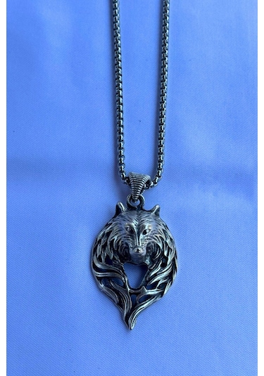 Kurt Başı El İşçiliği Paslanmaz Çelik Zincir Erkek Kolye Gümüş