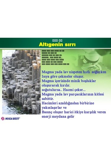 MİRACLE I TORMANYUM TAŞLI KEMER