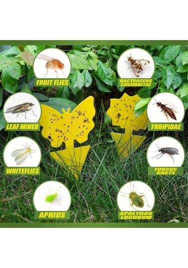 Neevoyu 20 Adet Sarı Güneş Çiçekli Bitki Böcek Tuzağı - İki Yönlü Yapışkan, Uçan Böcekleri Tutmak İçin Dış/iç Mekanlar İçin