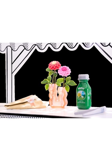 Mini Doğa Serisi Seri 2 528166