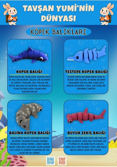 Tavşan Yumi Köpek Balıkları Koleksiyonu- 4 Parça 5-7 Cm Hareketli Oyuncaklar Ve Bilgilendirici Kartlar "