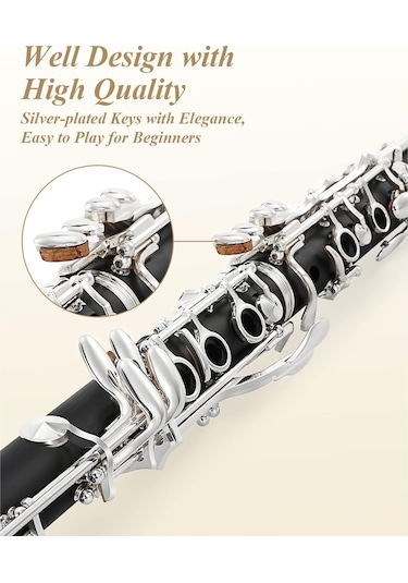 Eastar Ecl-400 Black Ebonite Si Bemol Klarnet