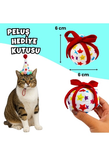 Kedi Parti Kutusu  4'lü Set