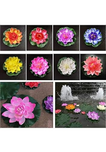 10 Adet Tohum Nadir Karışık Lotus Su Çiçeği Çiçek Tohumu