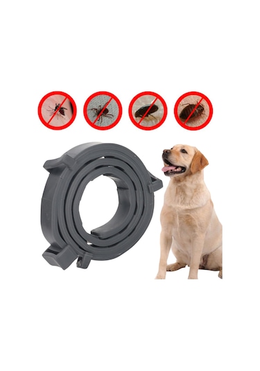 Homyl Kedi Köpek Için Pire Kene Yaka 10 Ay Koruma Evcil Hayvan Siyah
