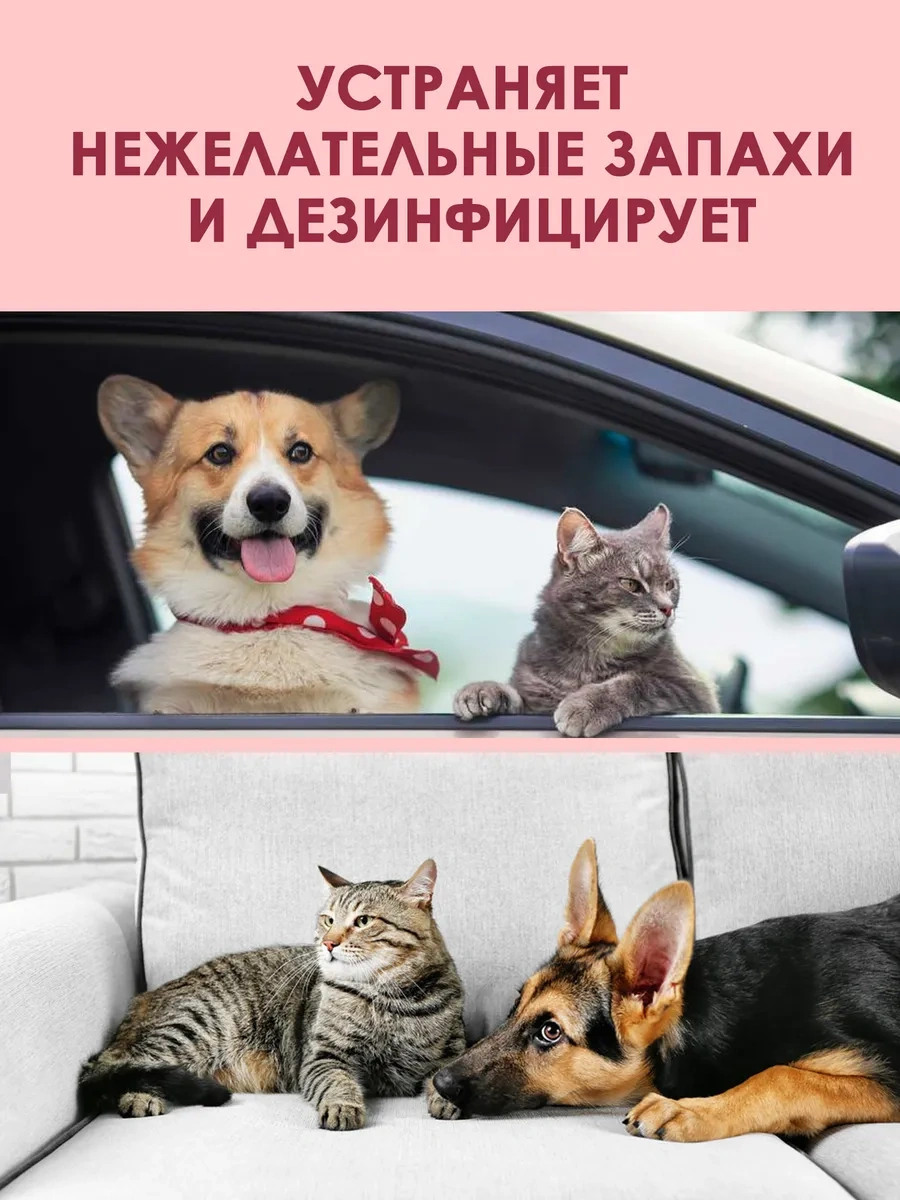 Priopetko Hayvan Kokusu Nötralizatörü, Kedi İdrarı İçin, Kötü Koku Önleyici 437683021