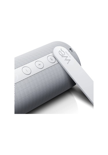 Loewe Hear 1 Bluetooth Hoparlör Cool Grey