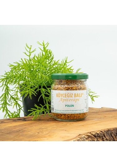 Köyceğiz Balı Apiterapi Arı Poleni Cam Kavanoz 100 G