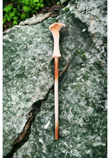 Harry Potter Voldemort Asası Kutulu 33 Cm