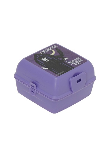 Polaris Obm.2920 4pr Mor Kız Çocuk Beslenme Kabı 000000000101922710 Mor