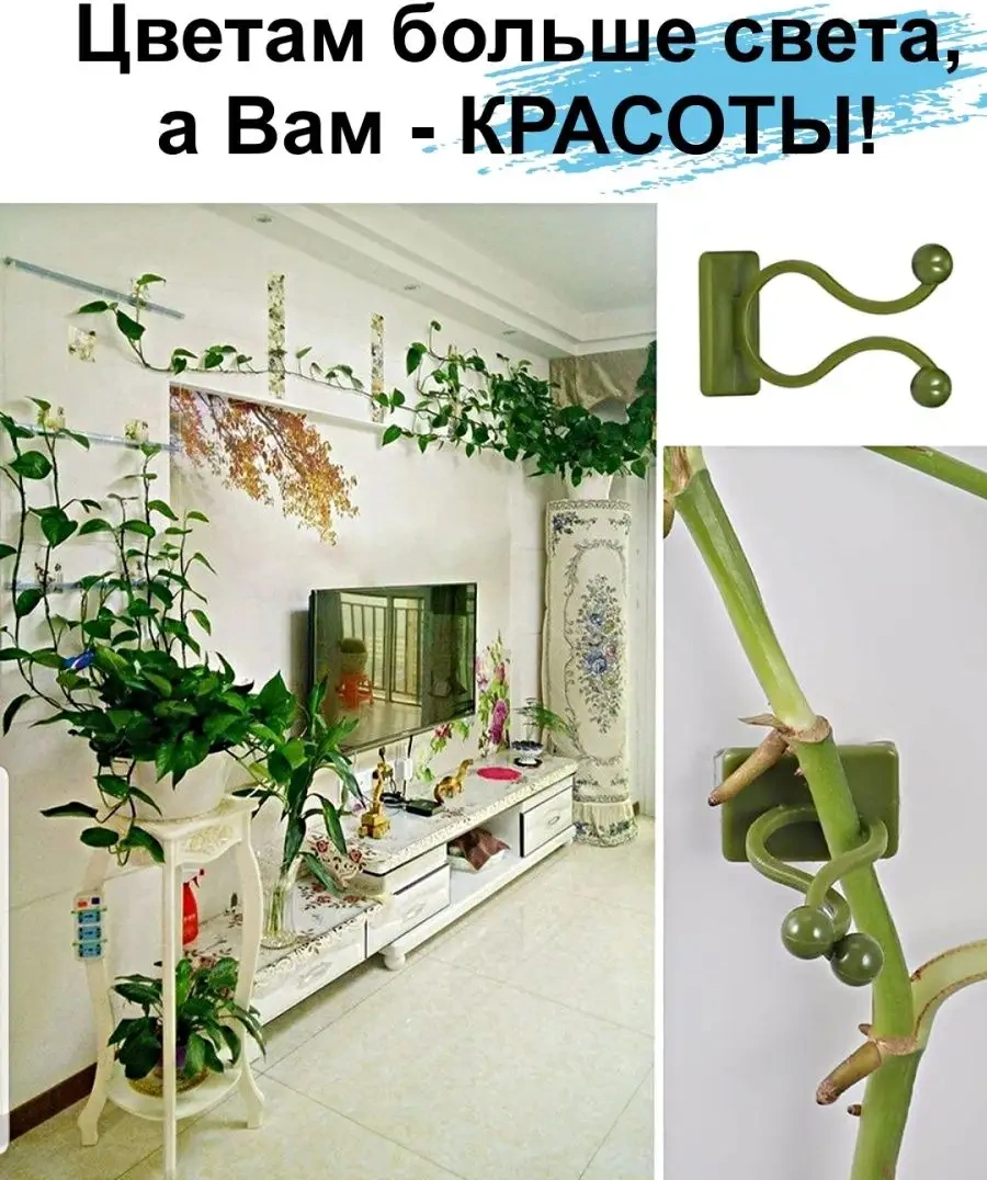 Greduha Duvara Monte Bitki Destek Tutucu 20'li Klips 169152839