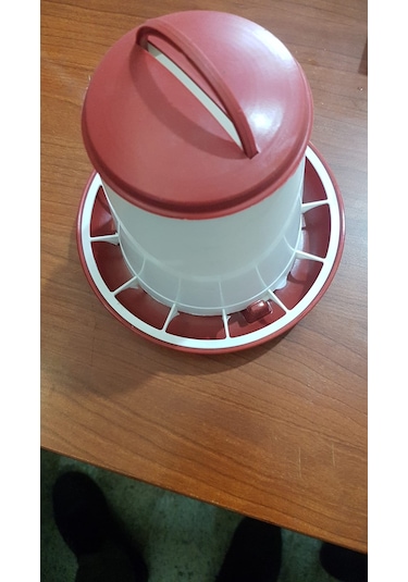 civciv  bıldırcın yemlik