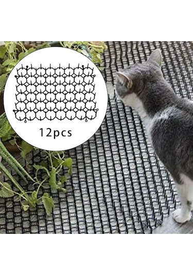 Besthome1 Suntek 12 Adet Kedi Scat Kovucu, Sivri-uçlu-mat, 5.9x7.8cm Kedi Oyuncak Seti