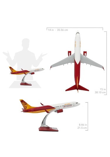 Zekupp Boeing 737-800 1/100 Ölçek Lion King Tasarımlı Maket Uçak