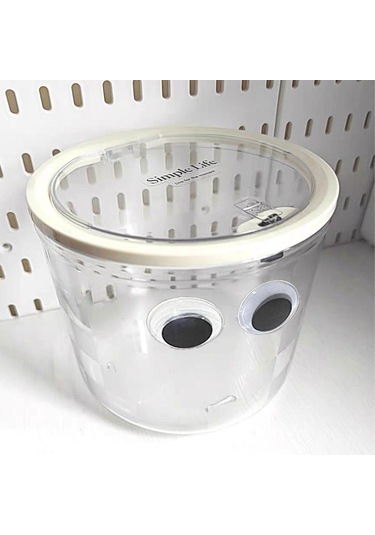 Suntek Saç Aksesuarları Saklama Kutusu 16,5cmx14cm