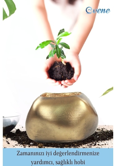 Saksı Çiçek Kaktüs Saksısı Lüx 14 Cm Elips Desen Saksı Çiçeklik - Altın Eskitme