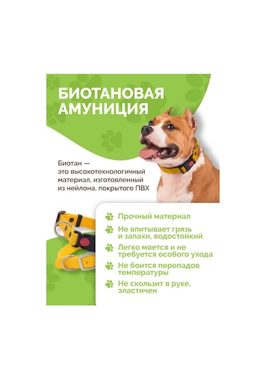 Ooo "firma Kaskad" Köpek Tasması 343182163 Turuncu