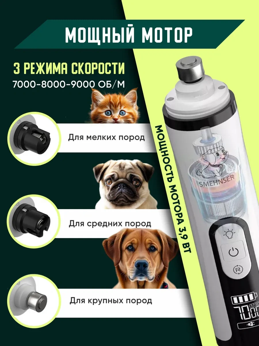 Rnb4pets Kedi Ve Köpeği İçin Griner 153574715