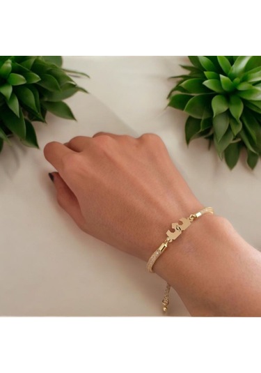 Archin Ğ Harfine Özel 14 Ayar Altın Plakalı Hasır Kordonlu Taç Motifli Hediye Bileklik-461harf Ğ