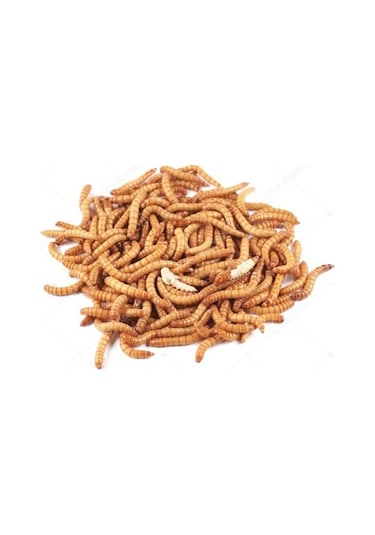 Un  Kurdu 500 G