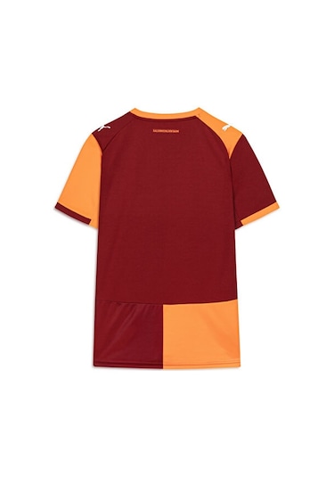 Puma Erkek Galatasaray 25/26 İç Saha Forması 77980901 Kırmızı 1122