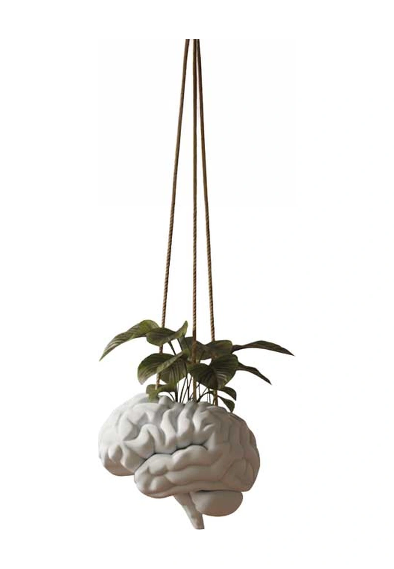Dekoratif Beyin Saksı