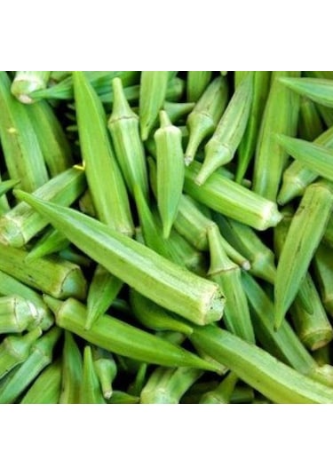 Geleneksel SuLani Bamya Tohumu 25 GR