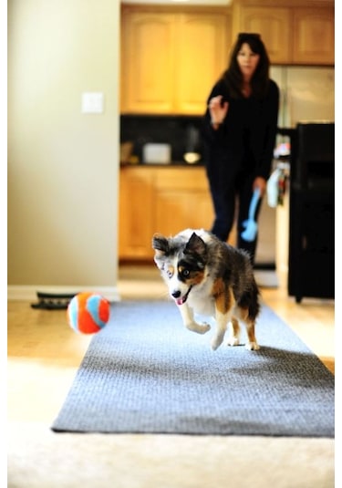Chuckit! Indoor Ball Eve Özel Yumuşak Köpek Oyun Topu