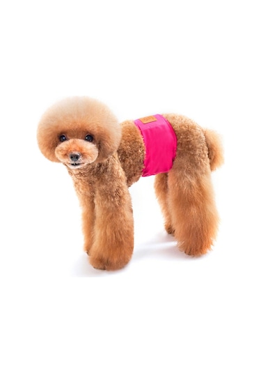 Pet Erkek Köpekler İçin Düz Renk Fizyoloji Pantolon Kibar Ve Taciz Önleyici Köpek Güvenlik Pantolonu, Boyut: S Kırmızı